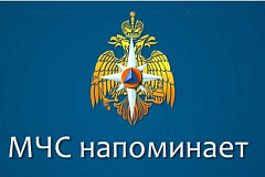 МЧС напоминает о соблюдении правил безопасности на пикнике